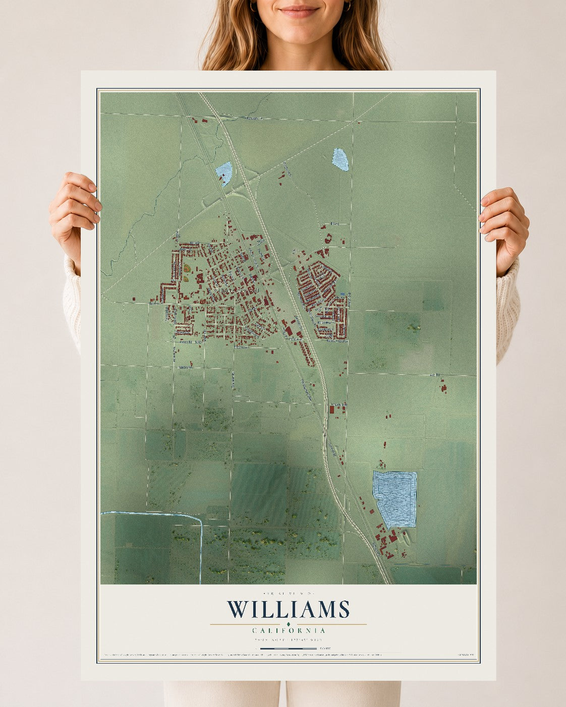 Map of Williams, California, 24 x 36 inch unframed archival matte print