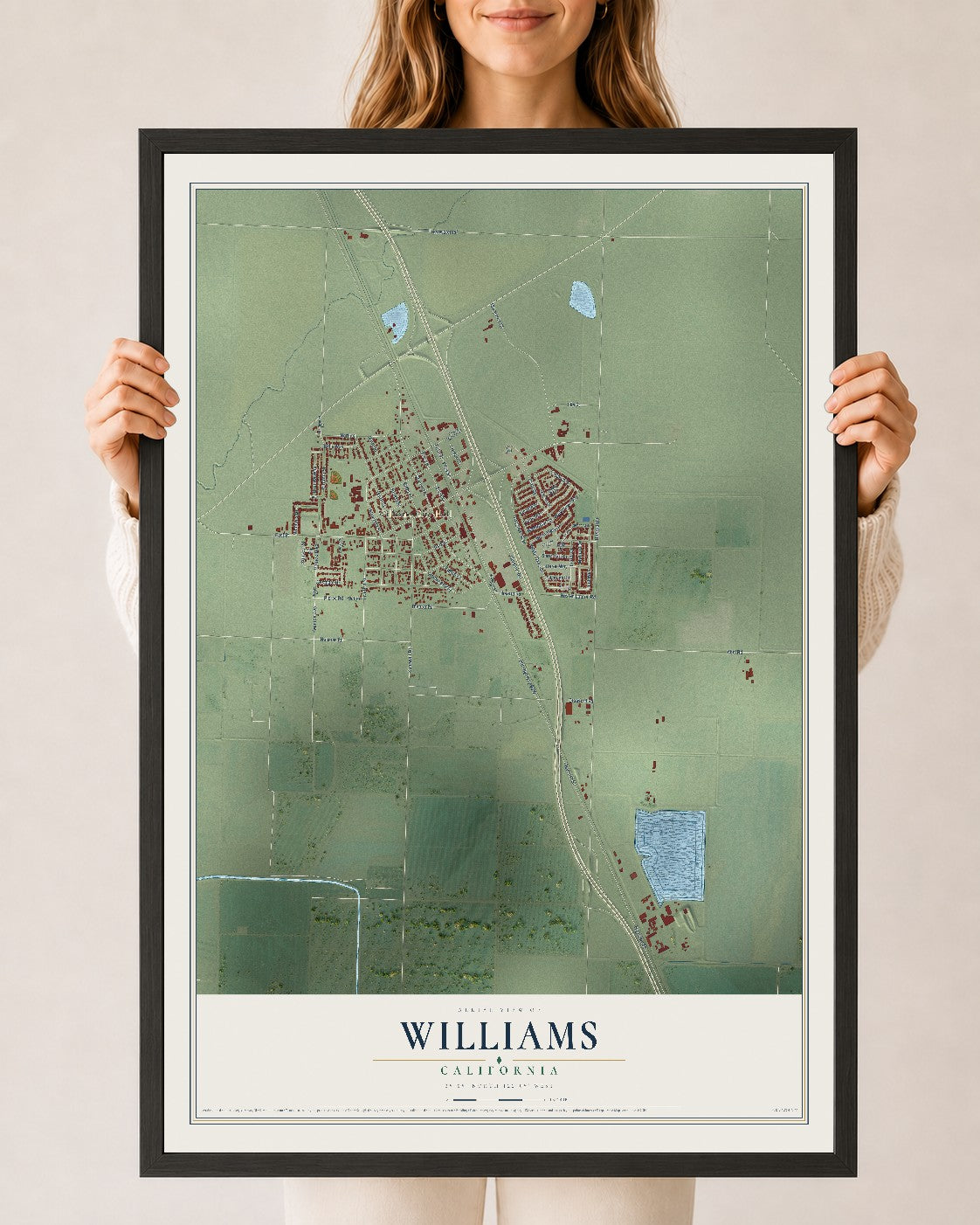 Map of Williams, California, 24 x 36 inch print in a black wood frame