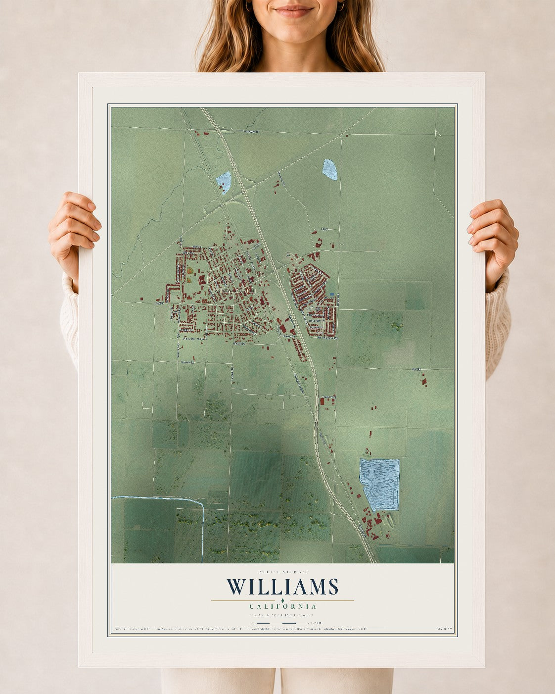 Map of Williams, California, 24 x 36 inch print in a white wood frame