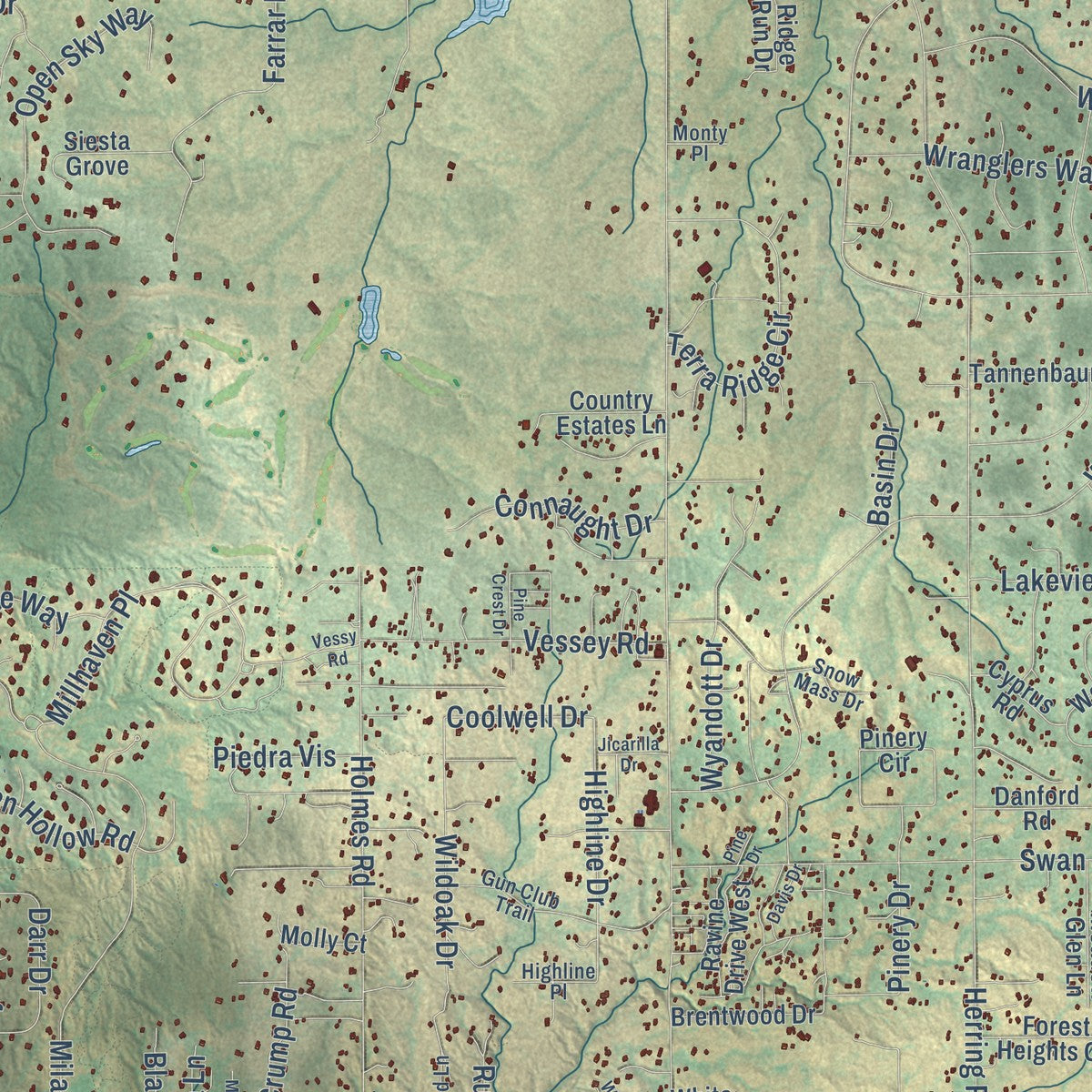 Close-up of the map of Black Forest, Colorado print showing street and building detail