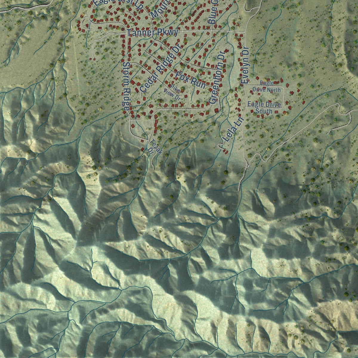 Close-up of the map of Cañon City, Colorado print showing street and building detail