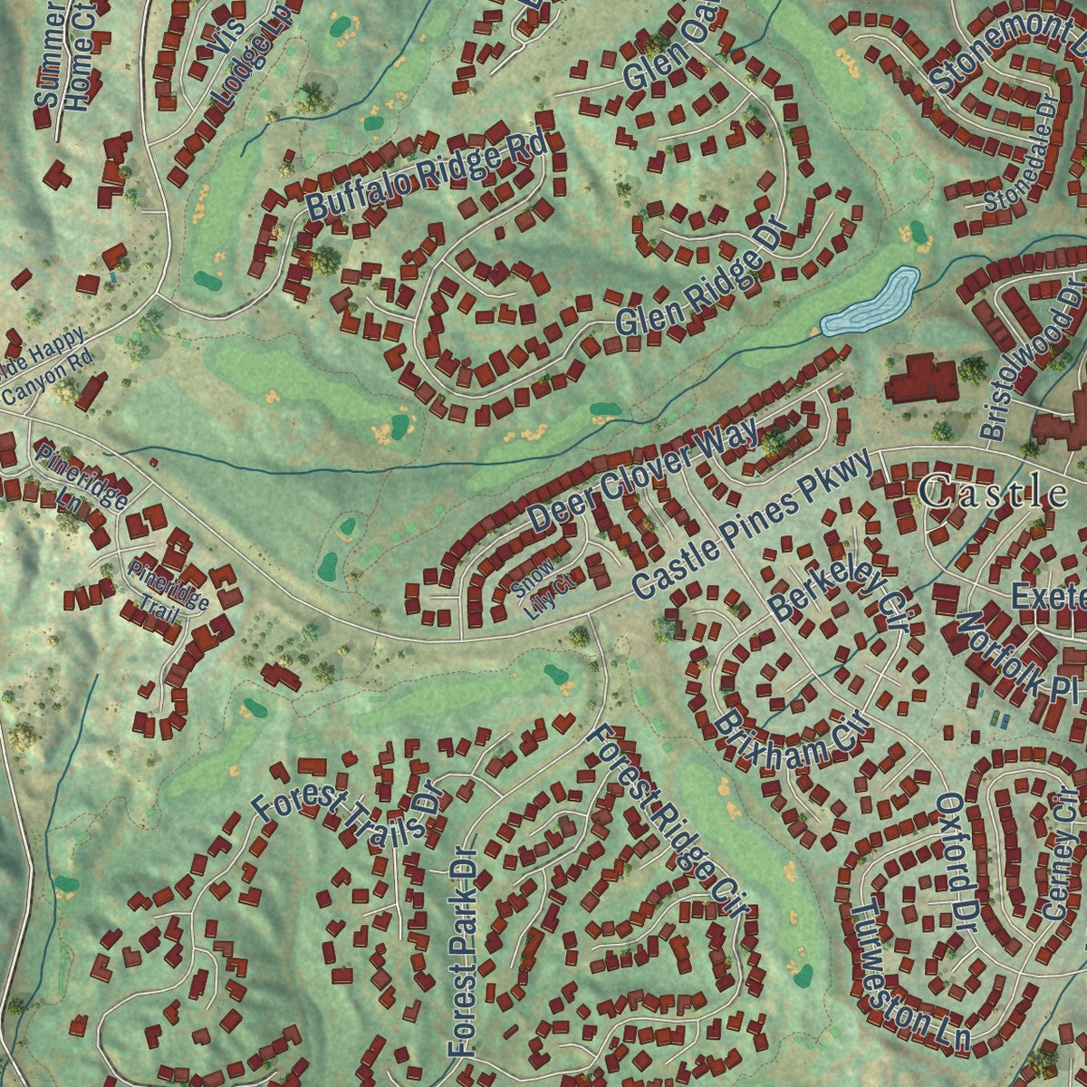 Close-up of the map of Castle Pines, Colorado print showing street and building detail