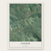 Conifer, Colorado map print, the full design