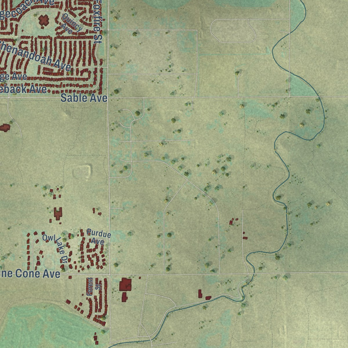 Second close-up of the map of Firestone, Colorado print showing more streets and buildings