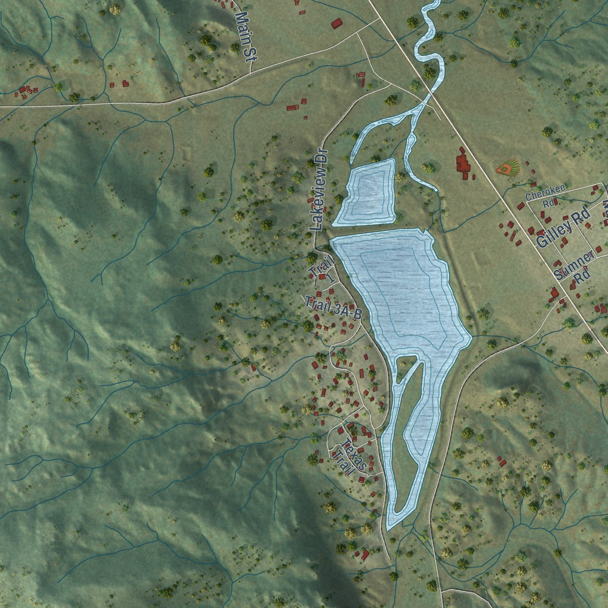 Close-up of the map of Lake George, Colorado print showing street and building detail