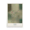 Map of Paoli, Colorado, 12 x 18 inch unframed archival matte print