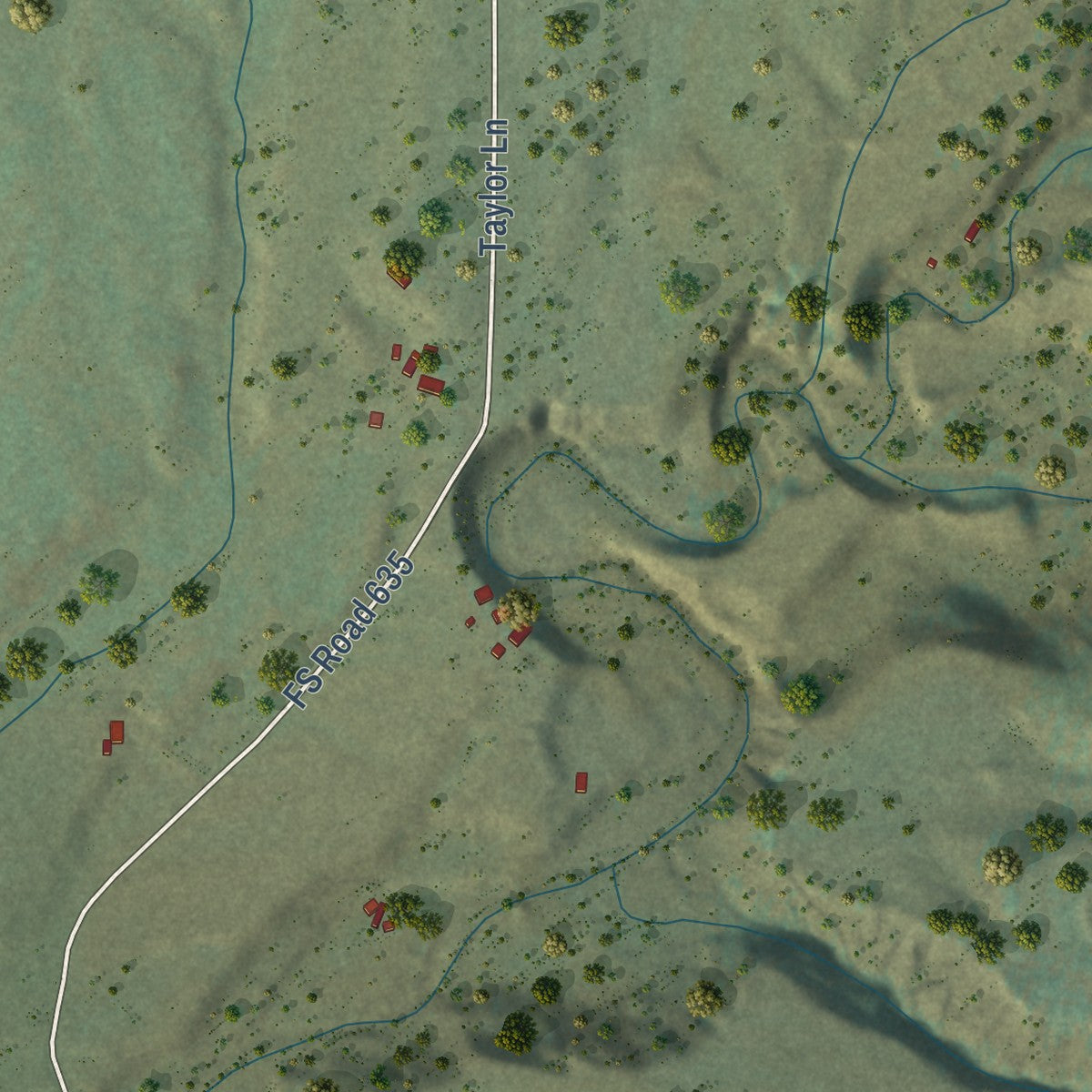 Close-up of the map of Piedra, Colorado print showing street and building detail