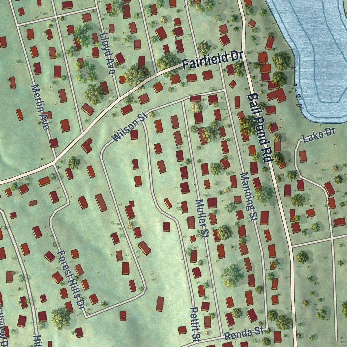 Close-up of the map of Ball Pond, Connecticut print showing street and building detail