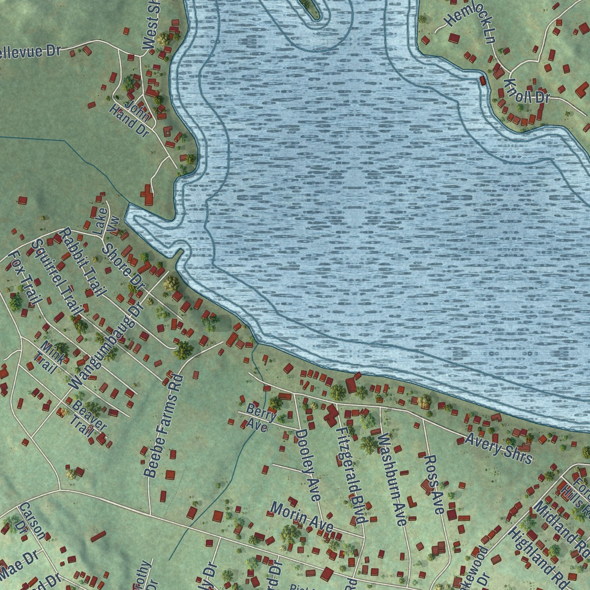 Close-up of the map of Coventry Lake, Connecticut print showing street and building detail