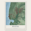 Bellevue, District of Columbia map print, the full design