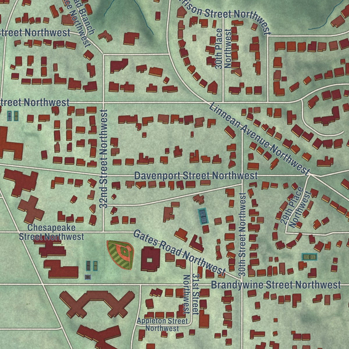 Close-up of the map of Forest Hills, District of Columbia print showing street and building detail