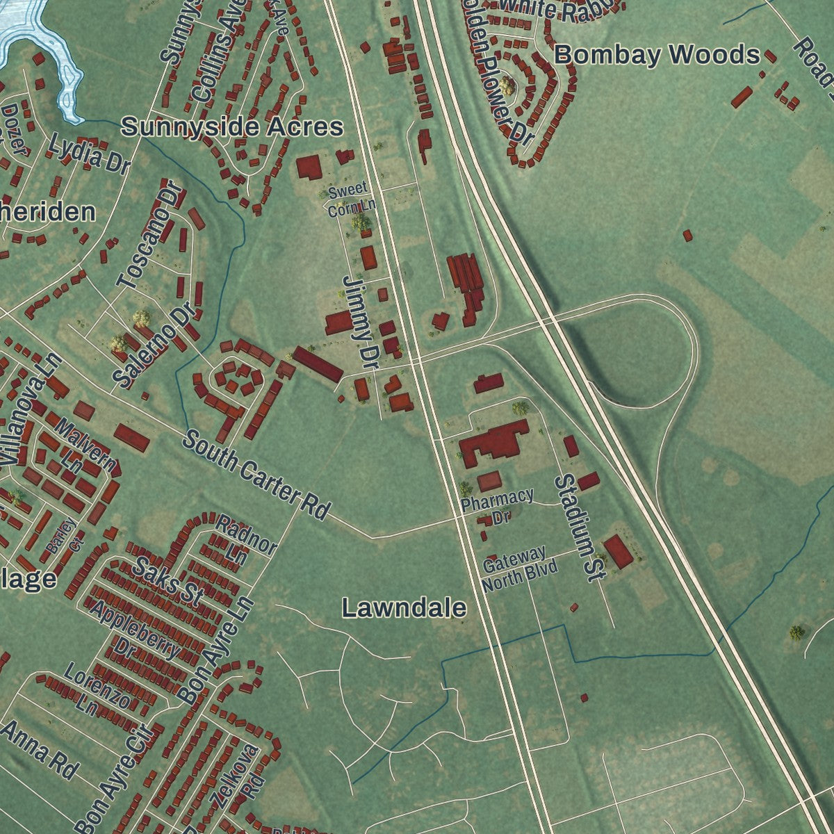 Second close-up of the map of Smyrna, Delaware print showing more streets and buildings