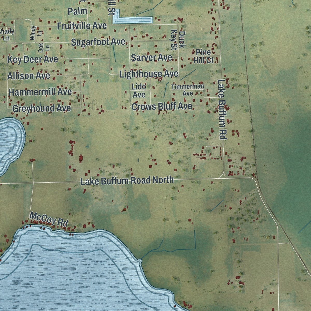 Close-up of the map of Alturas, Florida print showing street and building detail