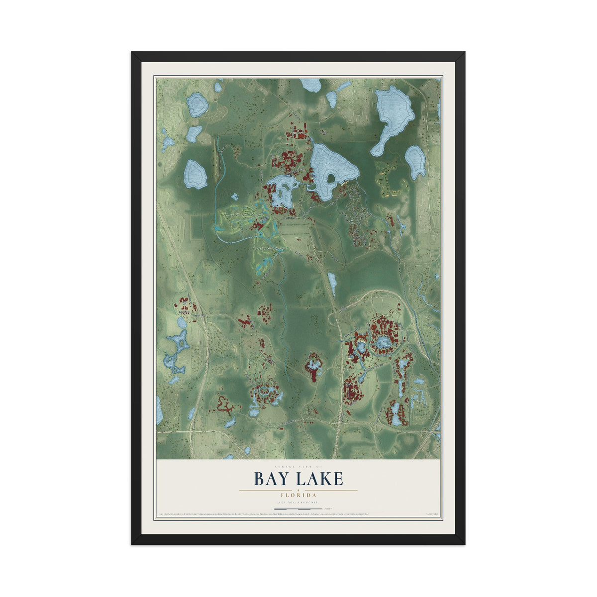 Bay Lake, Florida map print, 12" x 18" W/ Black Ayous Wood Frame mockup