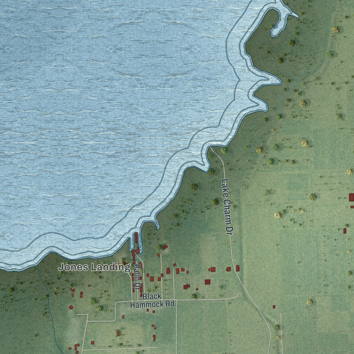 Close-up of the map of Black Hammock, Florida print showing street and building detail