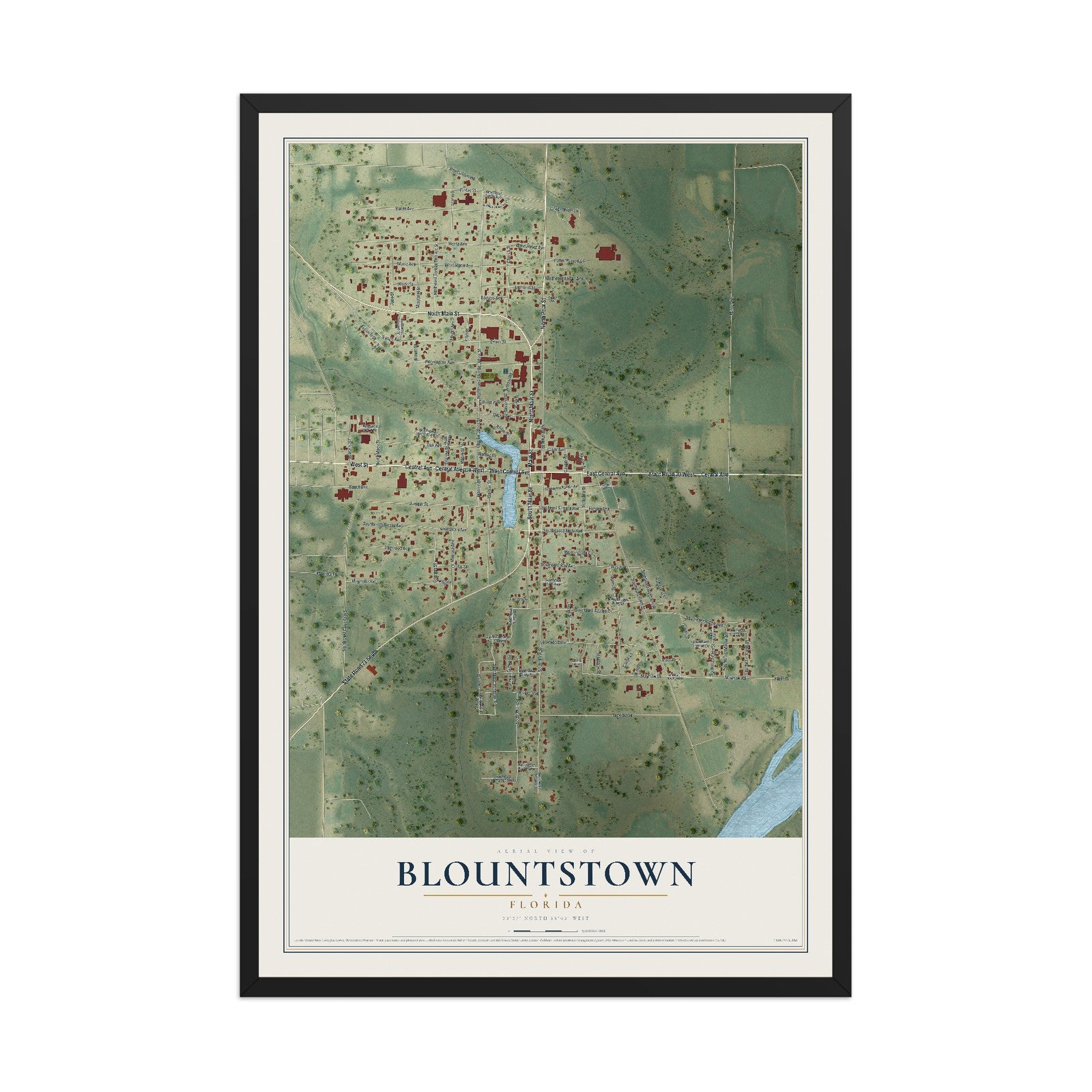 Blountstown, Florida map print, 12" x 18" W/ Black Ayous Wood Frame mockup