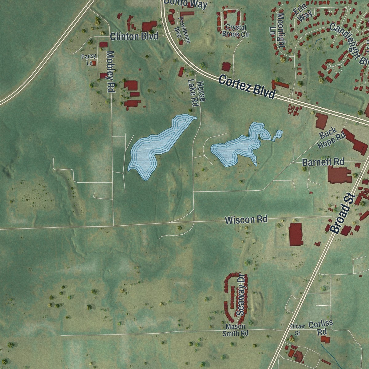 Close-up 2 of the Brooksville, Florida map artwork
