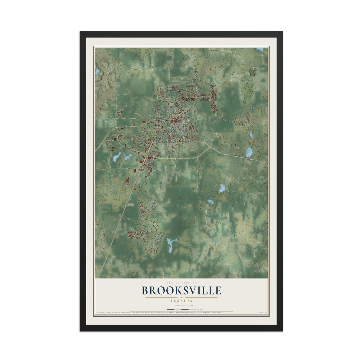 Brooksville, Florida map print, 12" x 18" W/ Black Ayous Wood Frame mockup