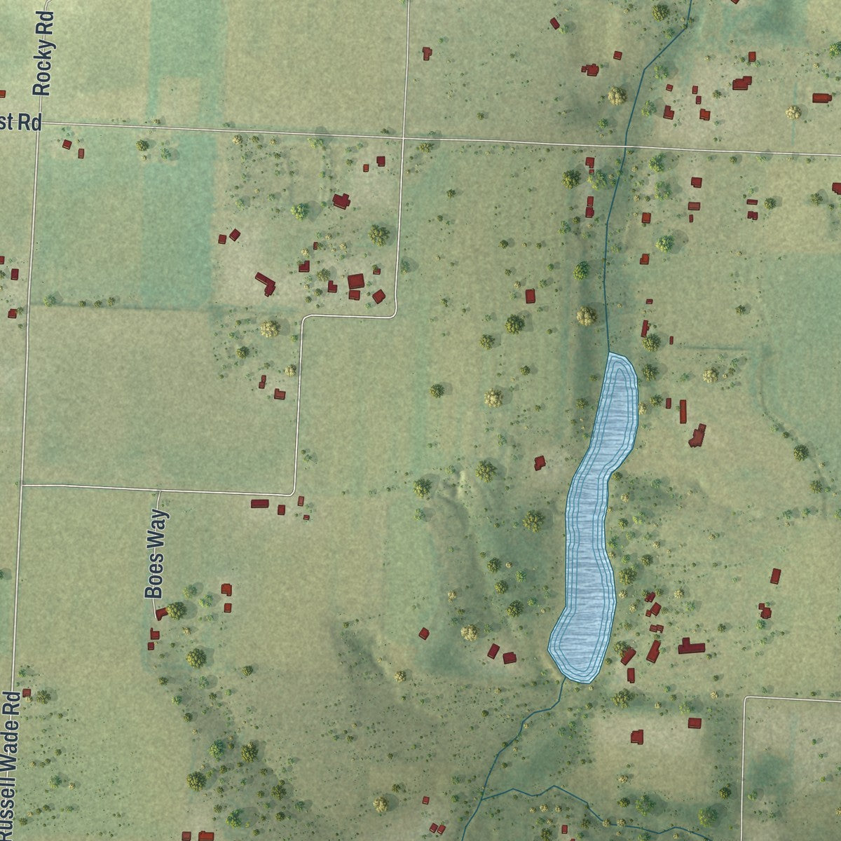 Close-up of the map of Brownsdale, Florida print showing street and building detail