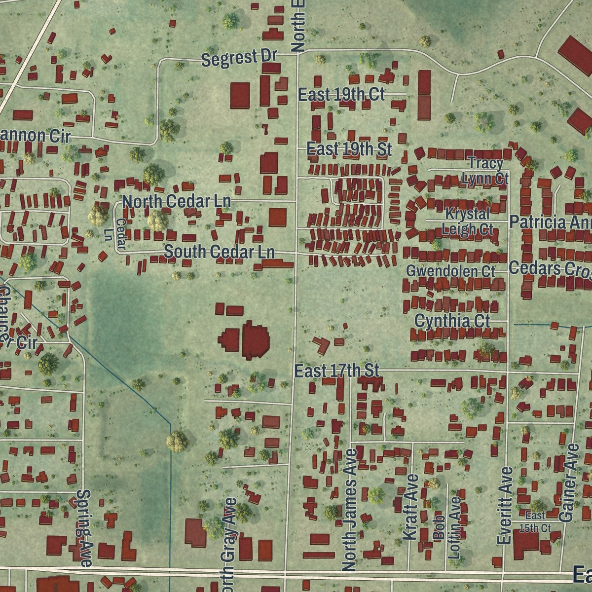 Close-up of the map of Cedar Grove, Florida print showing street and building detail