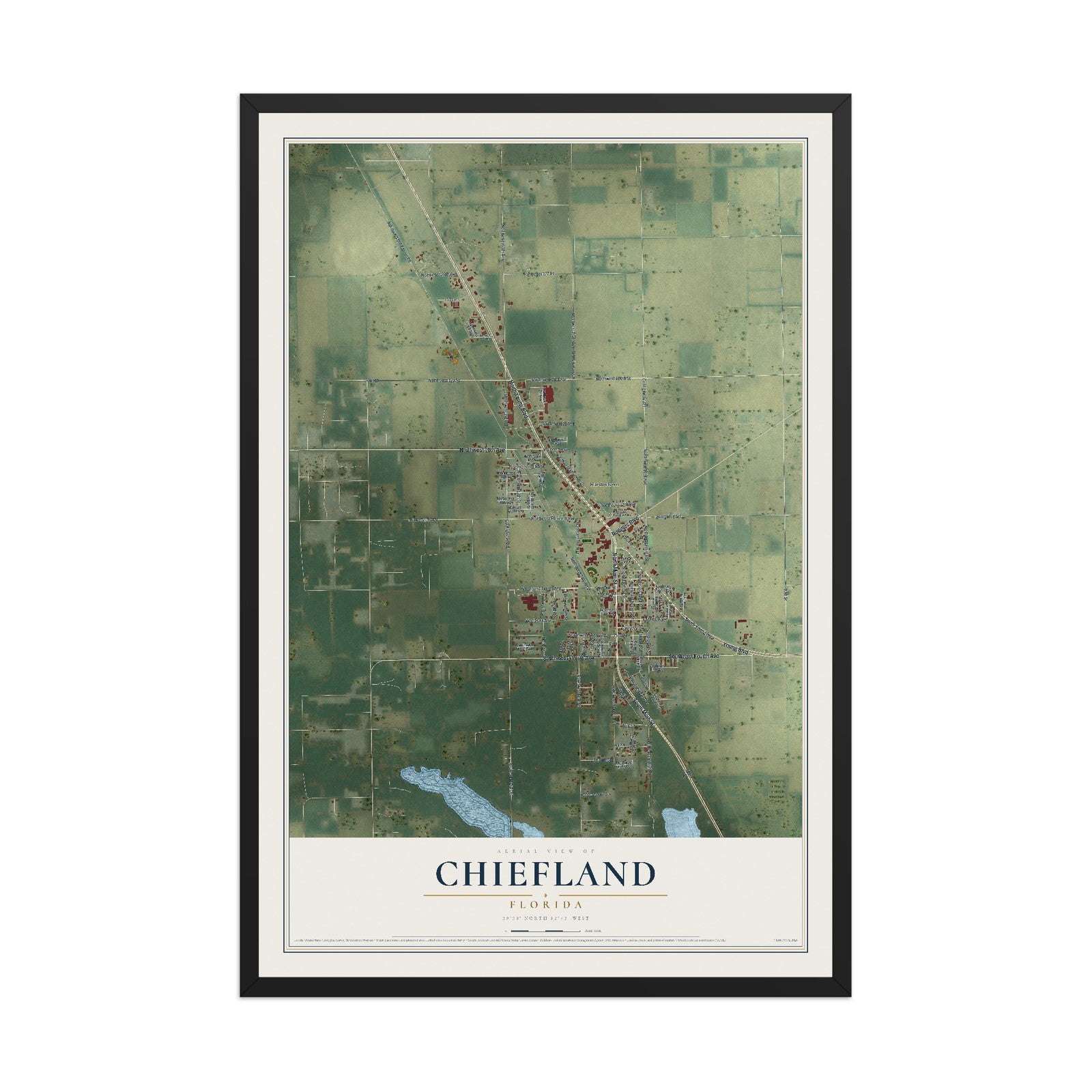 Chiefland, Florida map print, 12" x 18" W/ Black Ayous Wood Frame mockup