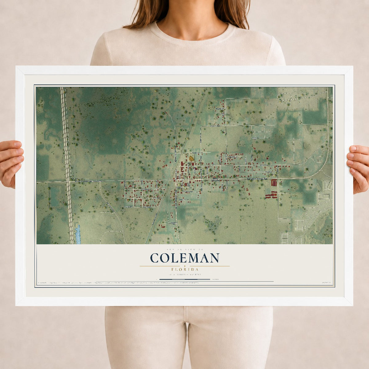 Coleman, Florida map print, 18" x 24" W/ White Ayous Wood Frame mockup