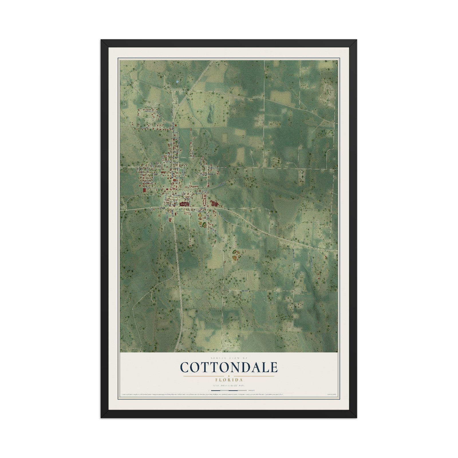Cottondale, Florida map print, 12" x 18" W/ Black Ayous Wood Frame mockup
