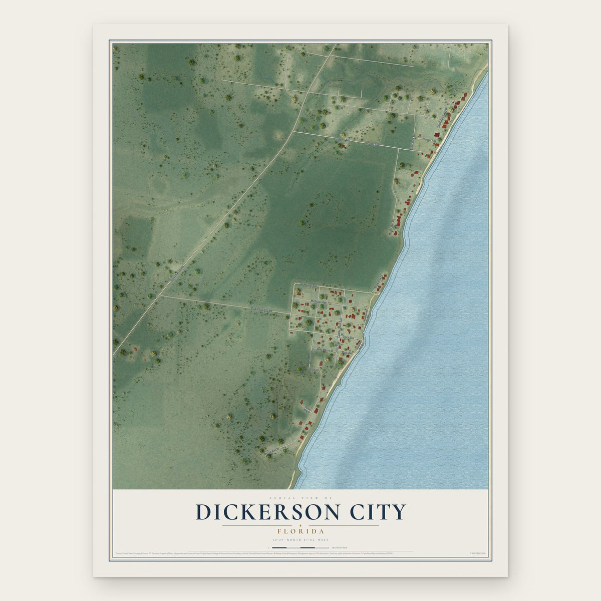 Dickerson City, Florida map print, the full design