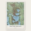 Doctor Phillips, Florida map print, the full design