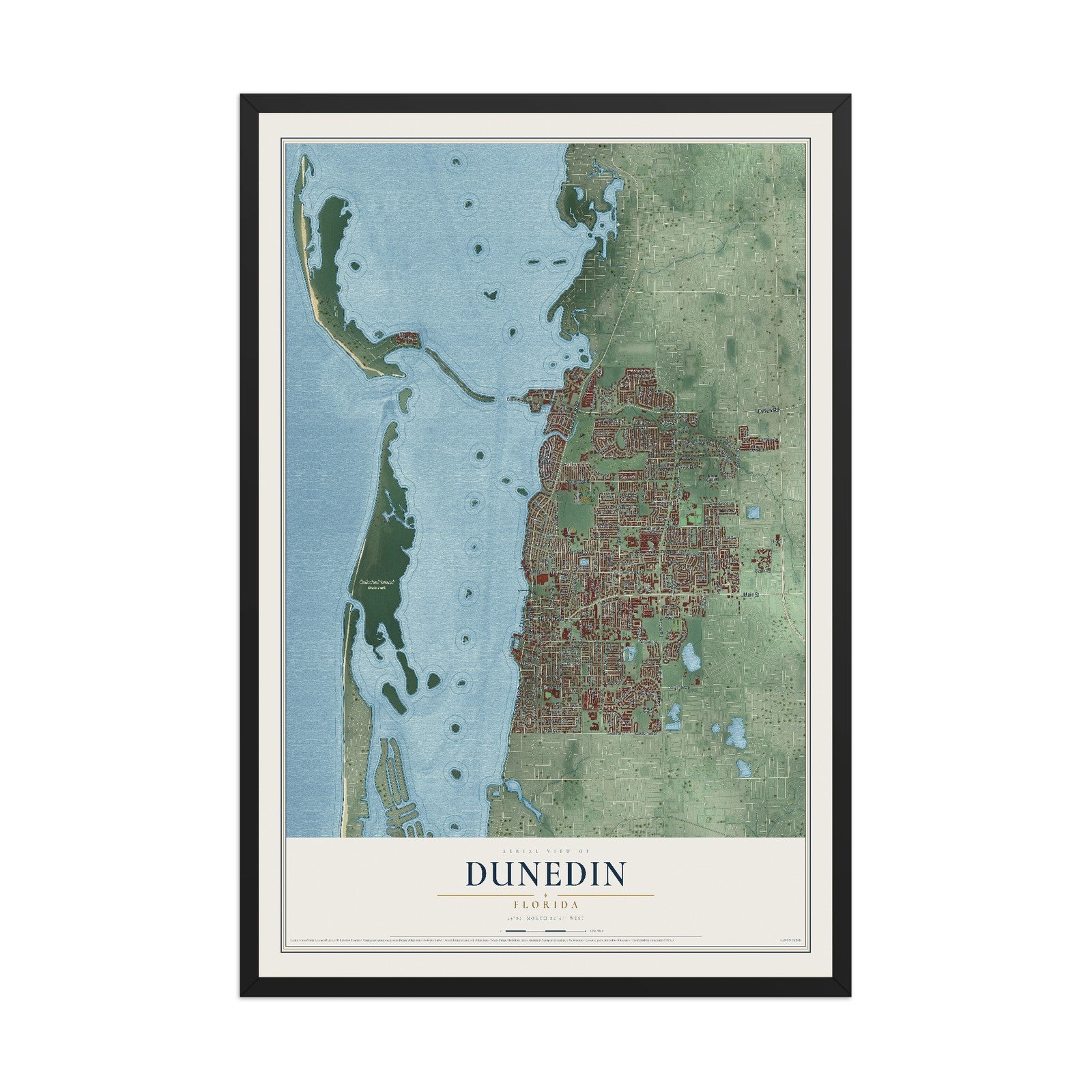 Dunedin, Florida map print, 12" x 18" W/ Black Ayous Wood Frame mockup