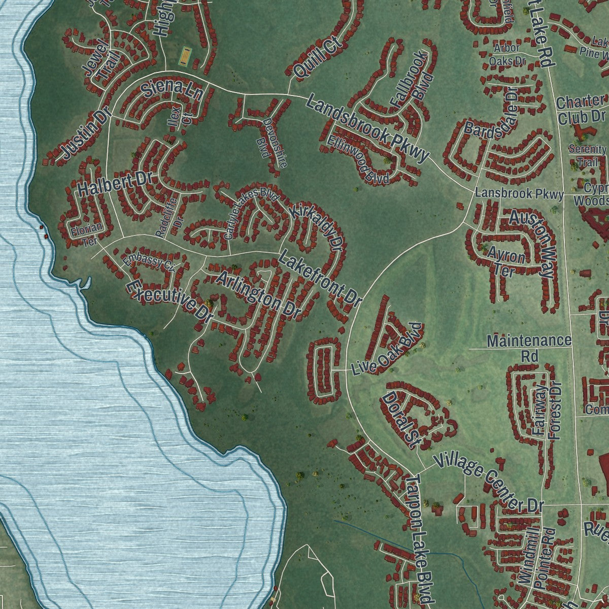 Close-up of the map of East Lake, Florida print showing street and building detail