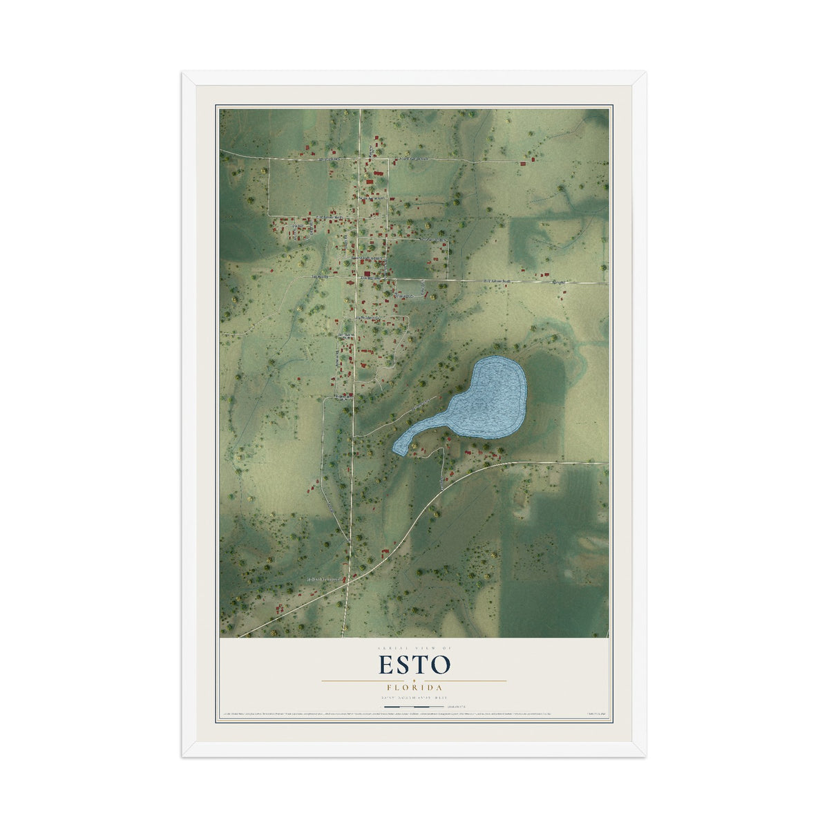 Esto, Florida map print, 12" x 18" W/ White Ayous Wood Frame mockup
