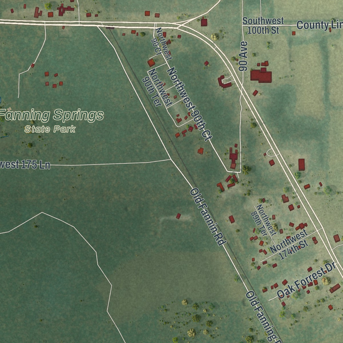 Close-up 2 of the Fanning Springs, Florida map artwork