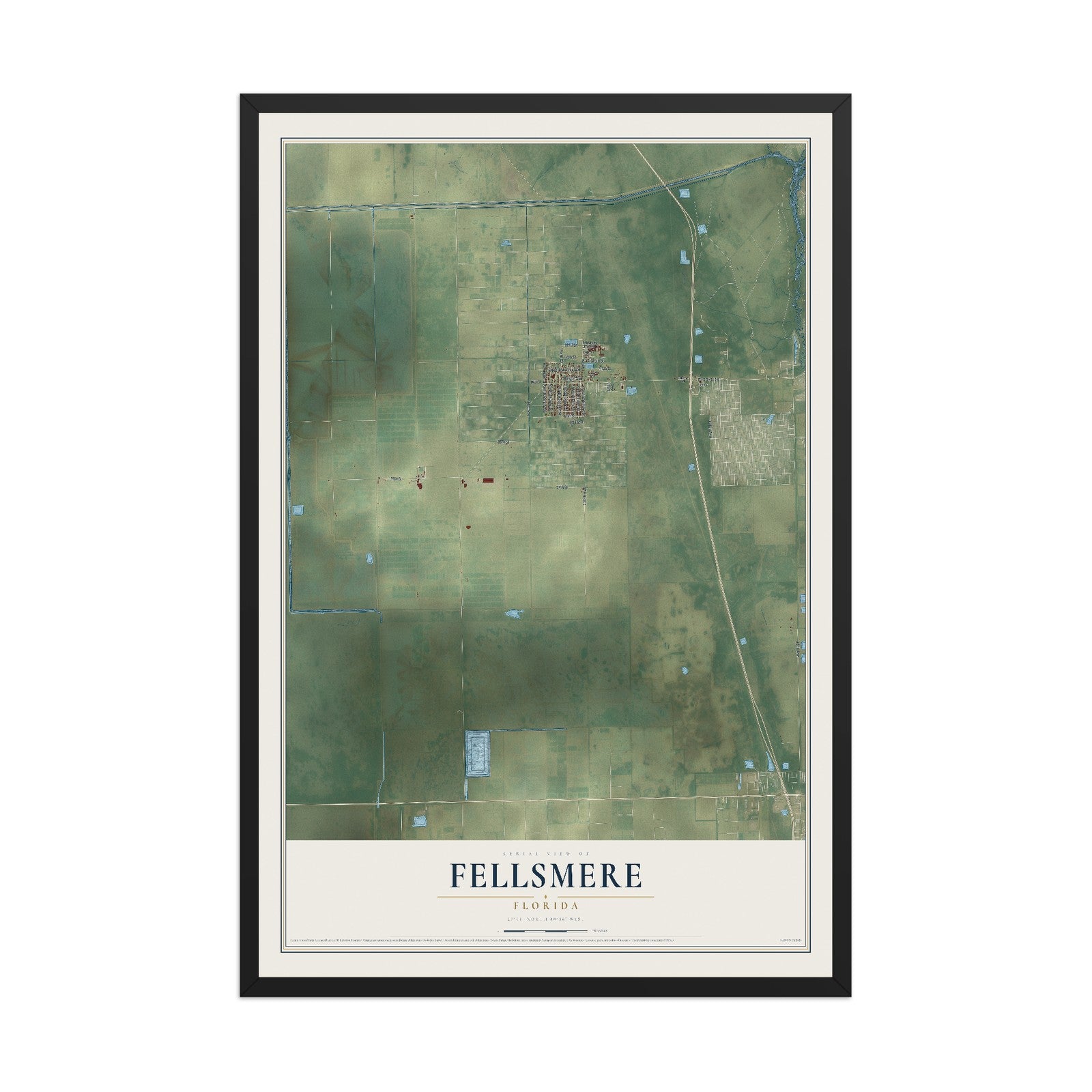 Fellsmere, Florida map print, 12" x 18" W/ Black Ayous Wood Frame mockup