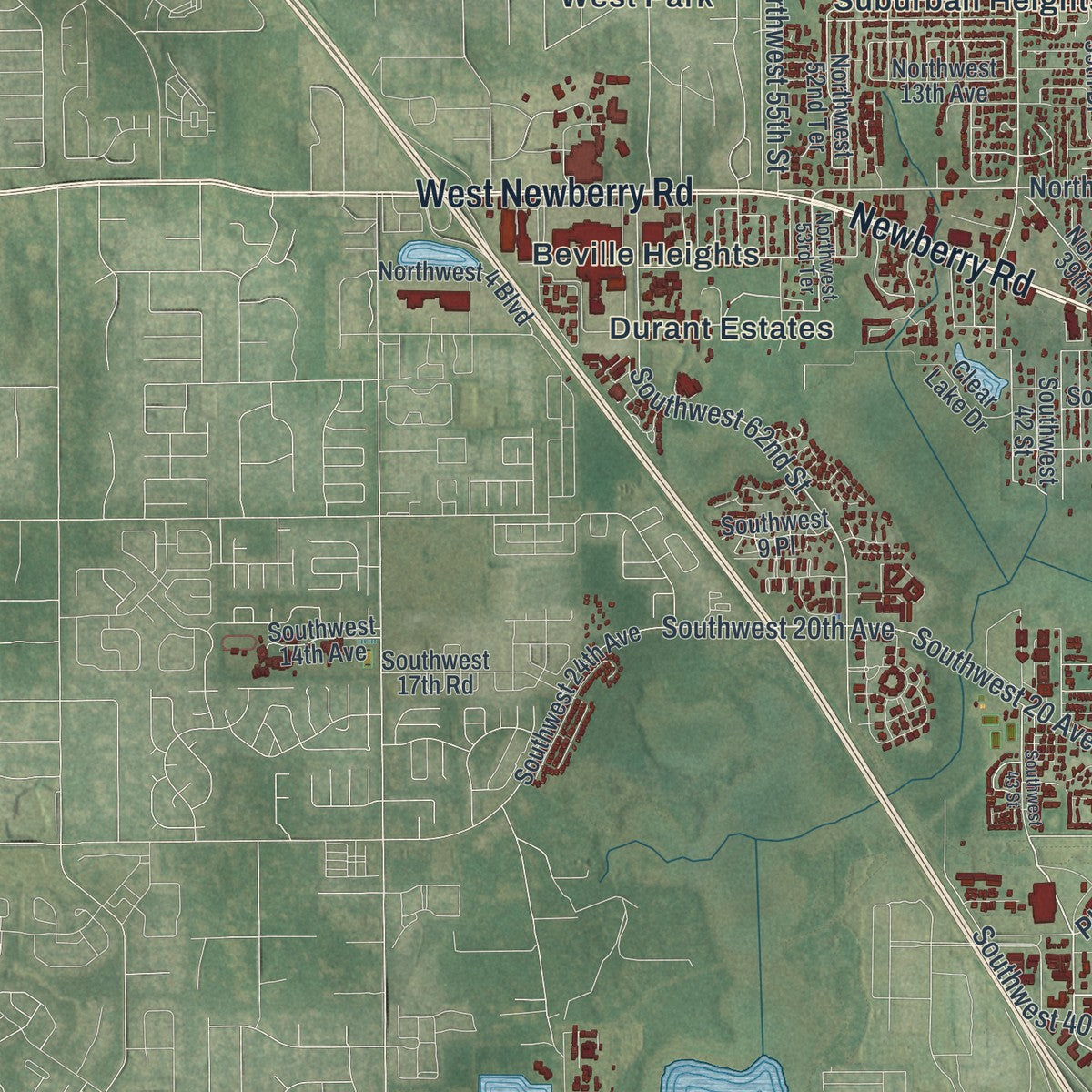 Close-up 2 of the Gainesville, Florida map artwork