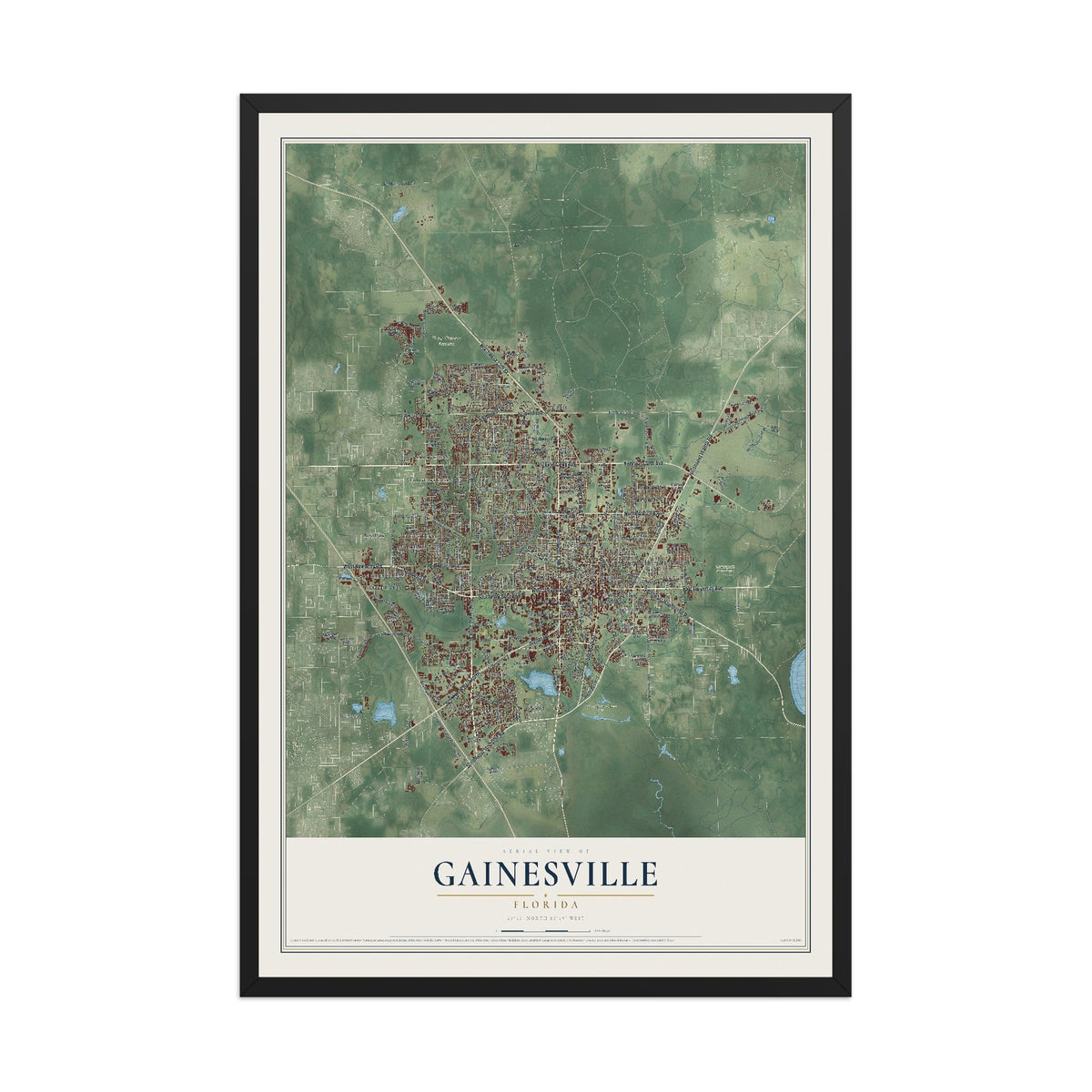 Gainesville, Florida map print, 12" x 18" W/ Black Ayous Wood Frame mockup