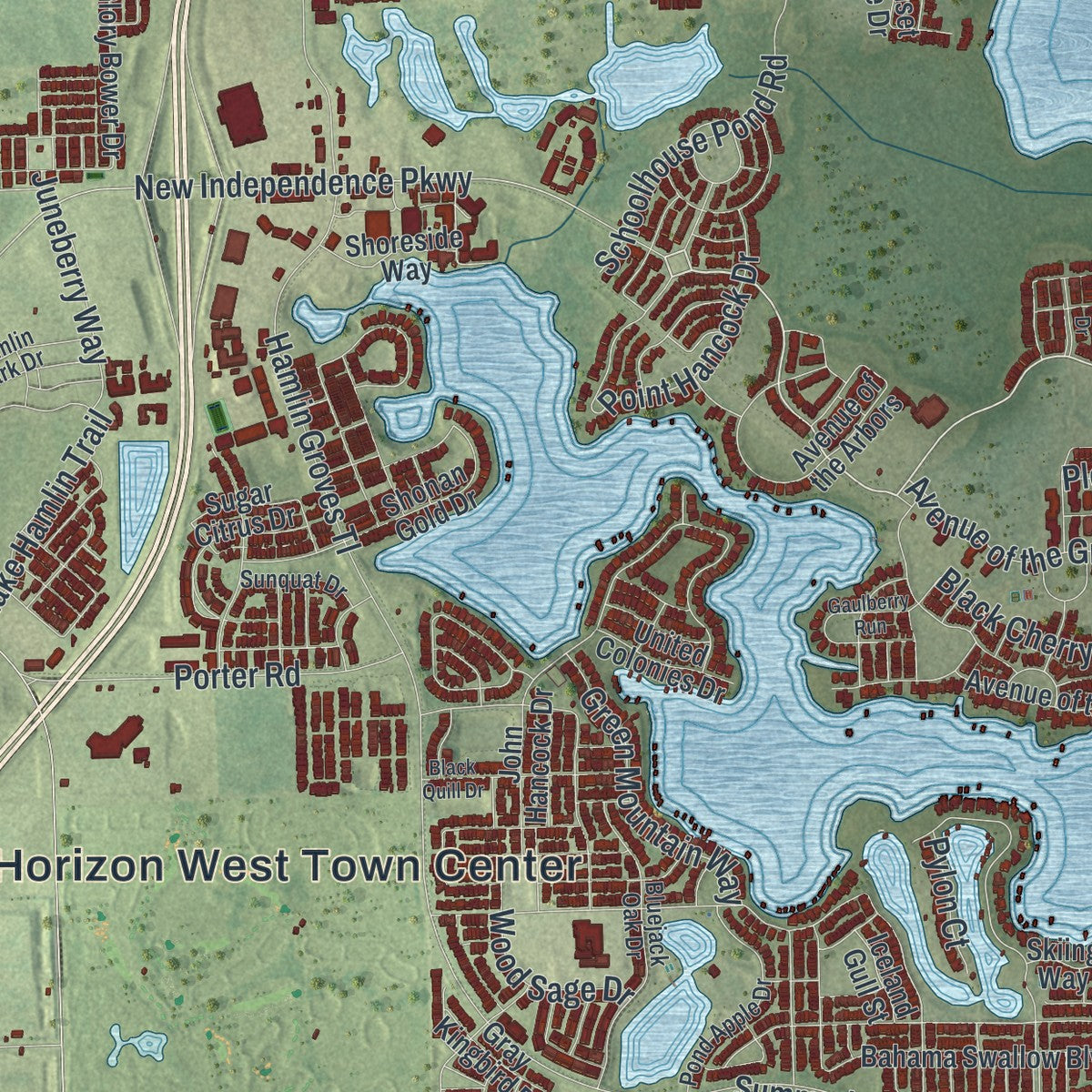 Close-up of the map of Horizon West, Florida print showing street and building detail
