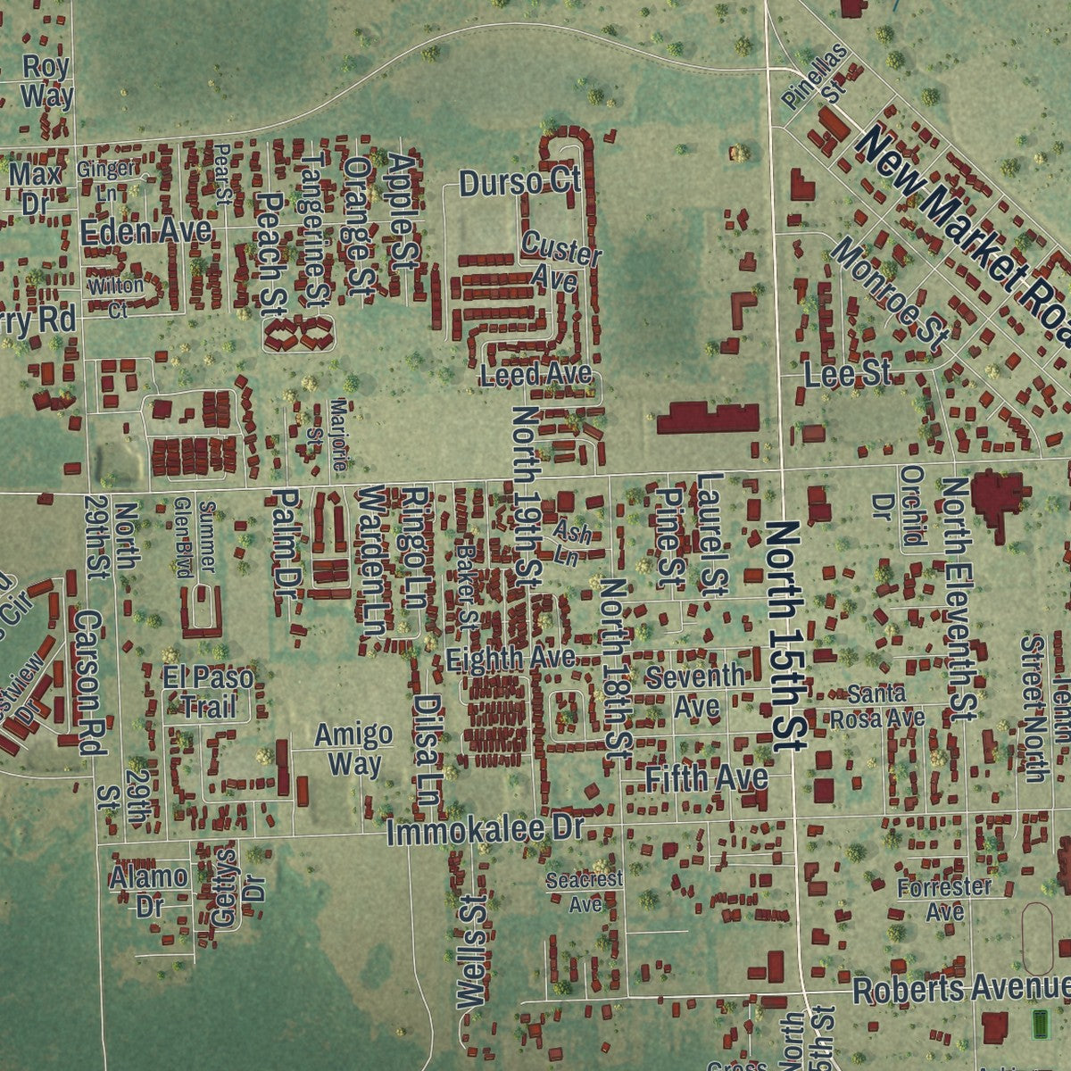 Close-up 1 of the Immokalee, Florida map artwork