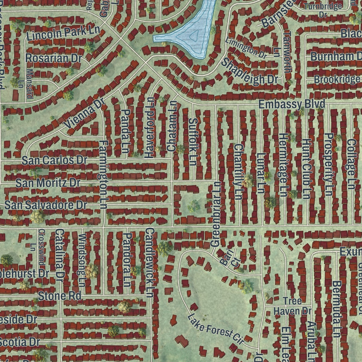 Close-up of the map of Jasmine Estates, Florida print showing street and building detail