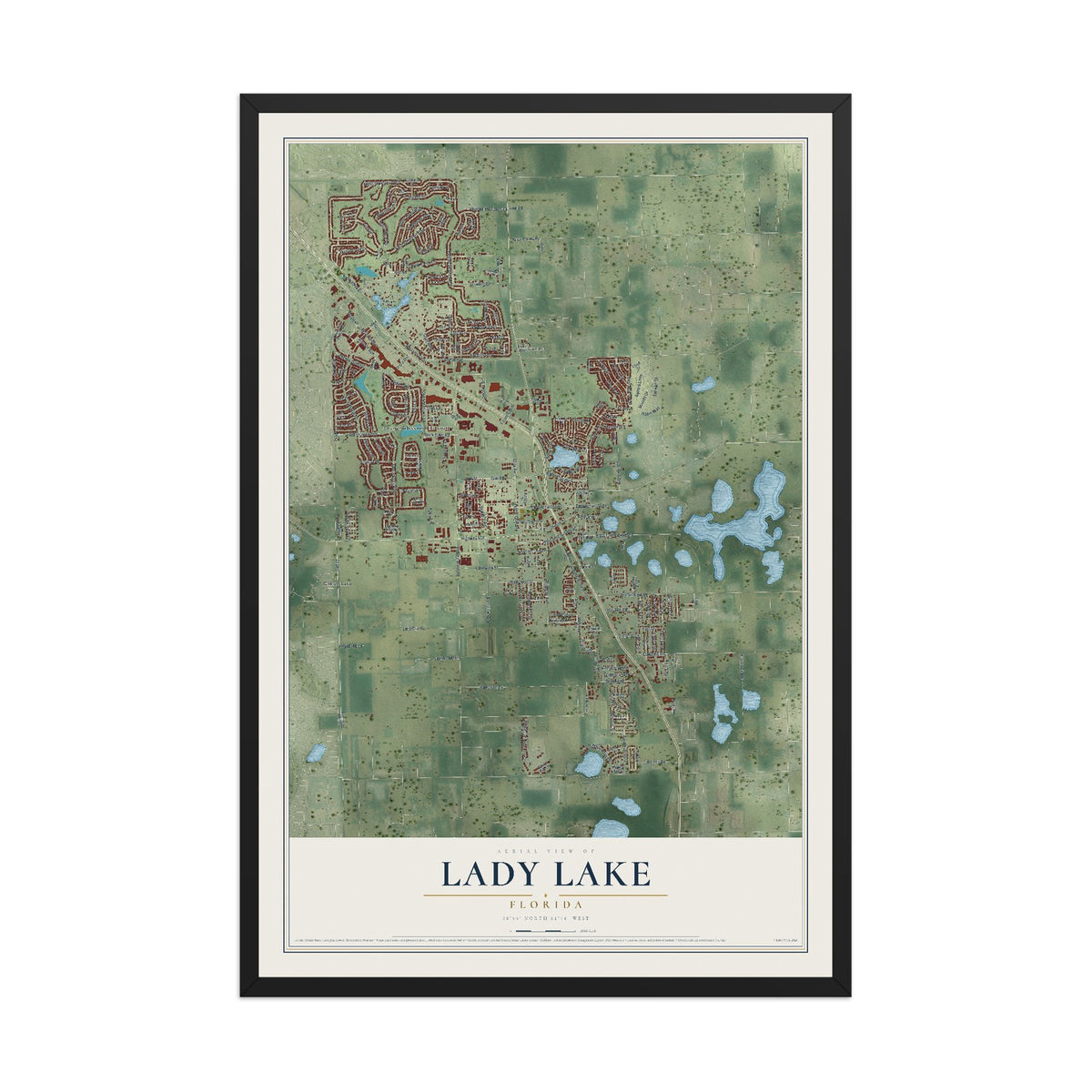 Lady Lake, Florida map print, 12" x 18" W/ Black Ayous Wood Frame mockup