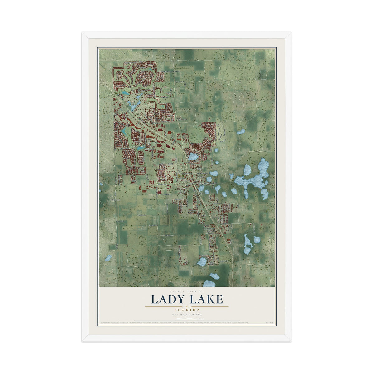 Lady Lake, Florida map print, 12" x 18" W/ White Ayous Wood Frame mockup