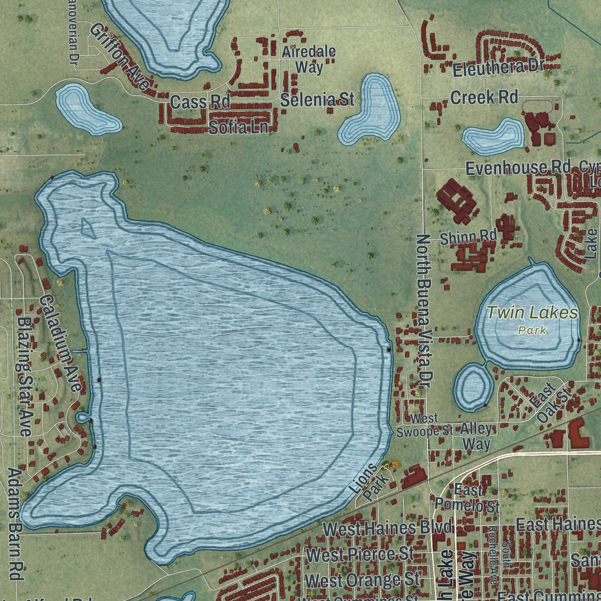 Close-up 1 of the Lake Alfred, Florida map artwork