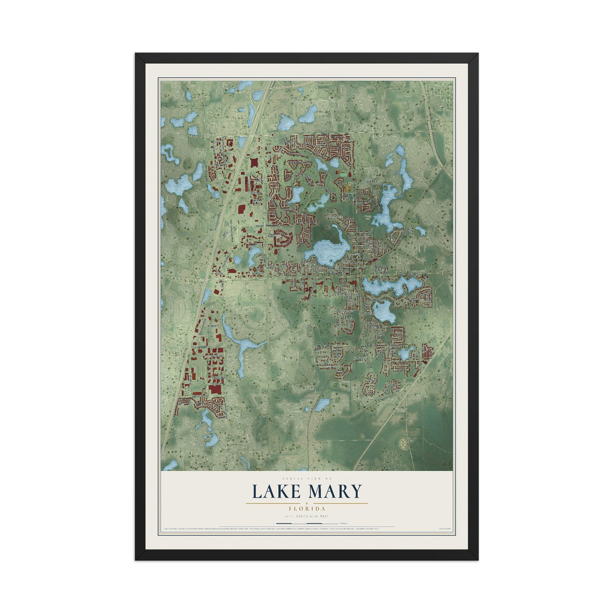 Lake Mary, Florida map print, 12" x 18" W/ Black Ayous Wood Frame mockup