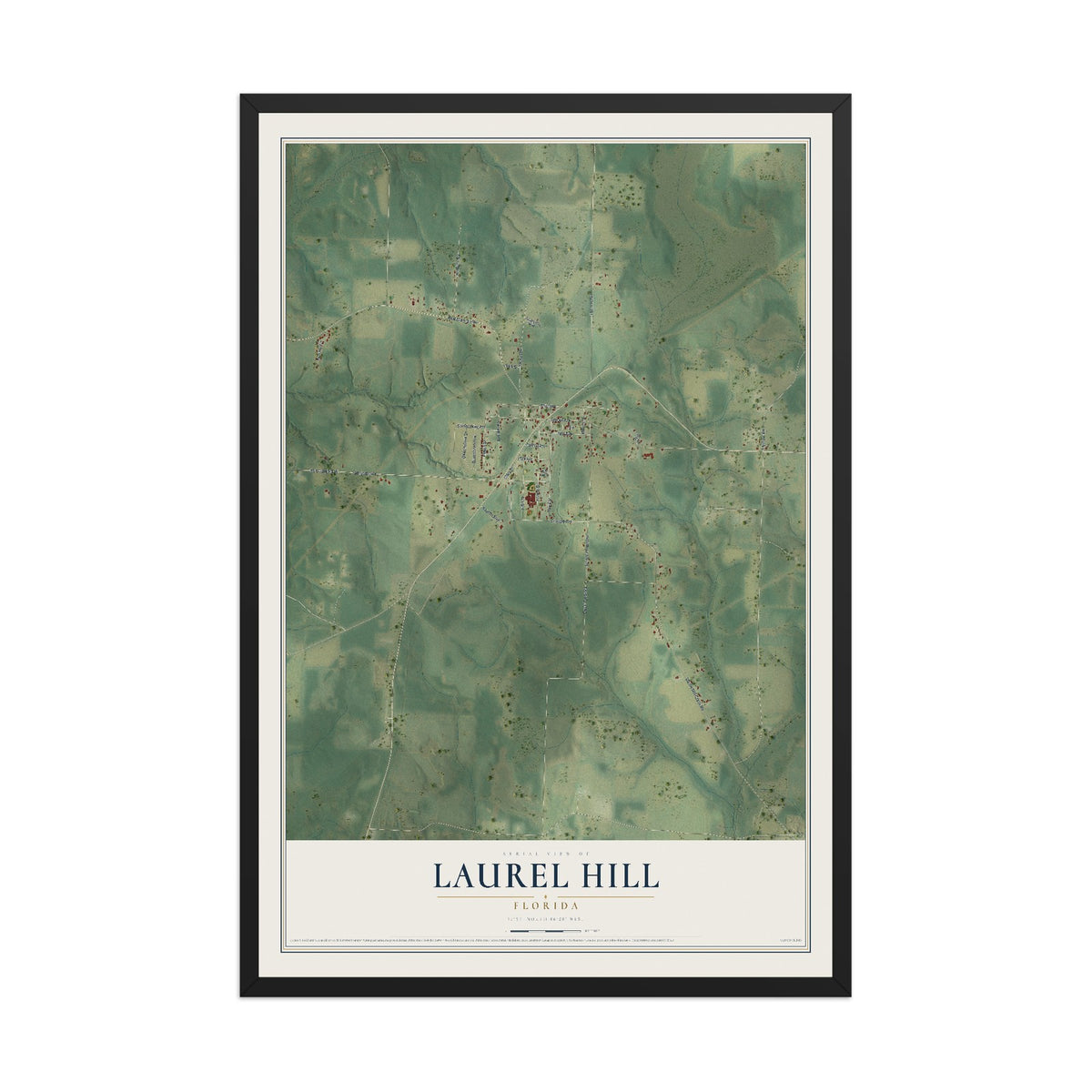 Laurel Hill, Florida map print, 12" x 18" W/ Black Ayous Wood Frame mockup