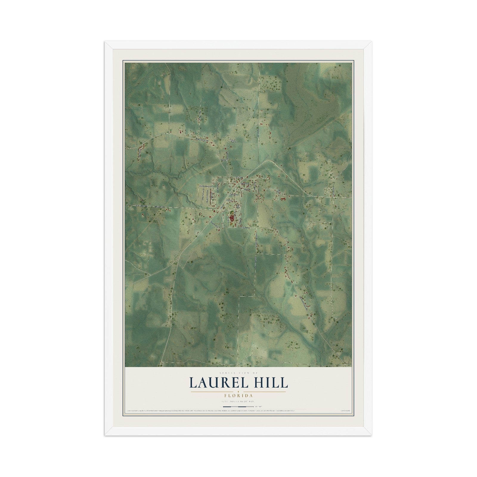 Laurel Hill, Florida map print, 12" x 18" W/ White Ayous Wood Frame mockup