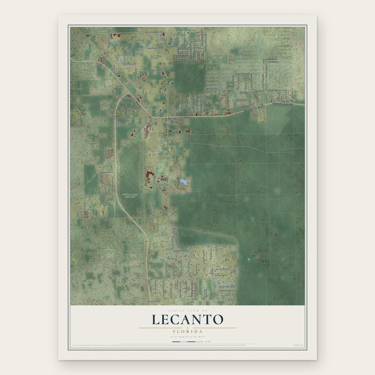 Lecanto, Florida map print, the full design