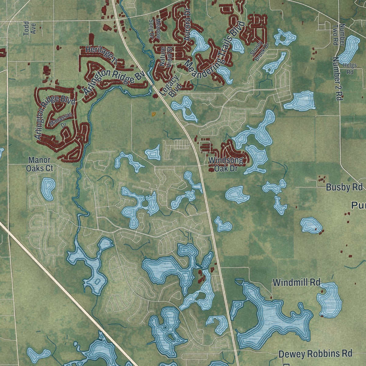 Close-up 2 of the Leesburg, Florida map artwork