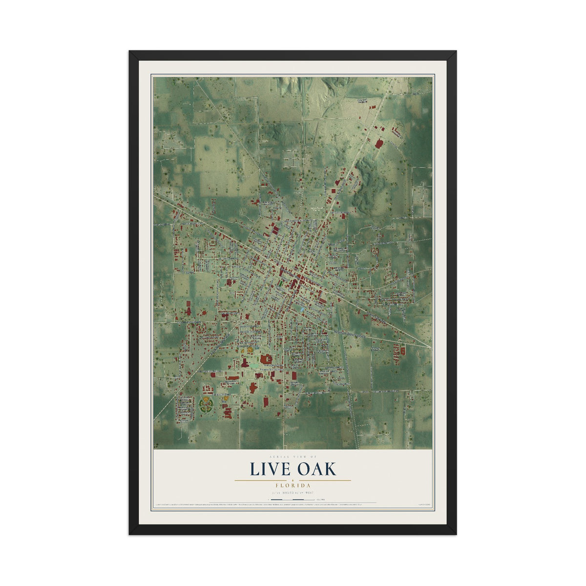 Live Oak, Florida map print, 12" x 18" W/ Black Ayous Wood Frame mockup