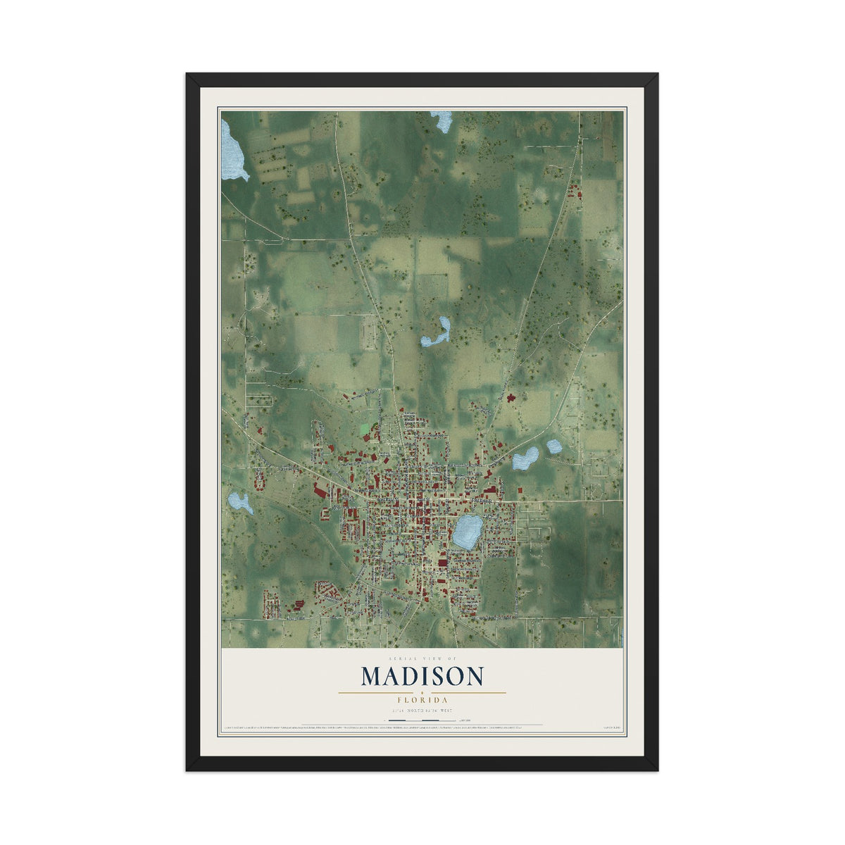 Madison, Florida map print, 12" x 18" W/ Black Ayous Wood Frame mockup
