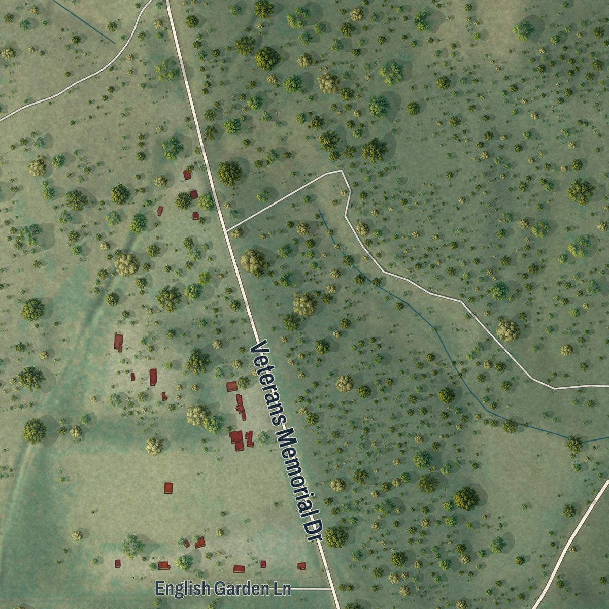 Close-up of the map of Miccosukee, Florida print showing street and building detail
